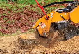 Best Lot and Land Clearing  in Northlakes, NC